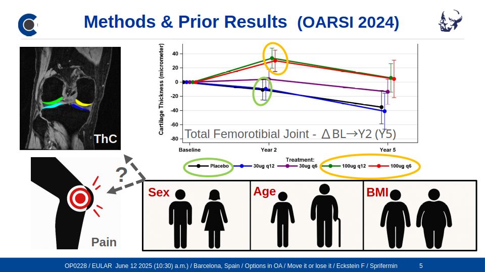 Automated Analysis of Cartilage
