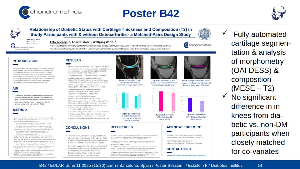 Automated Analysis of Cartilage
