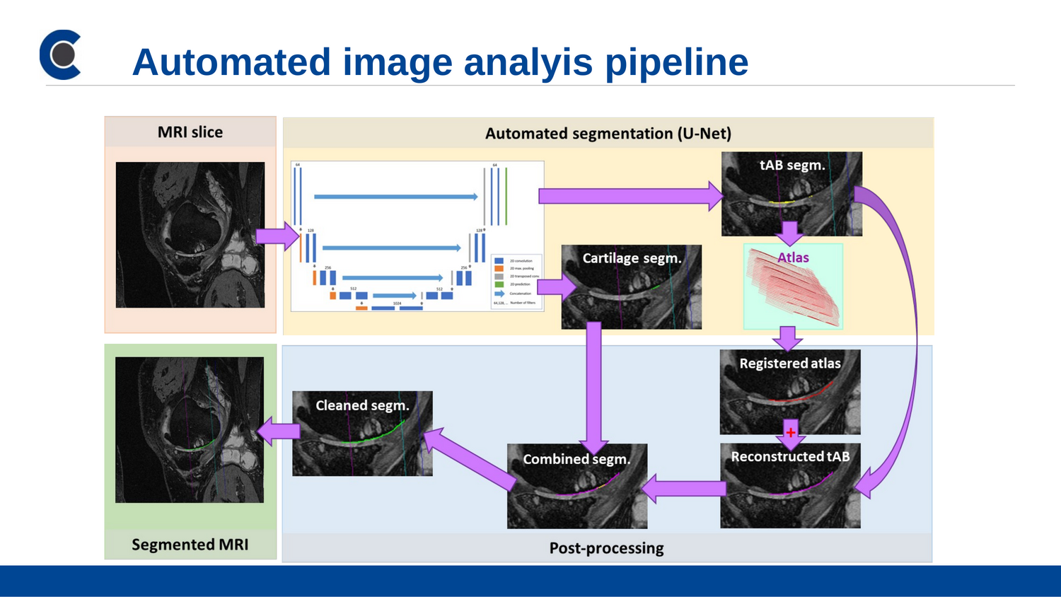 Automated Analysis of Cartilage