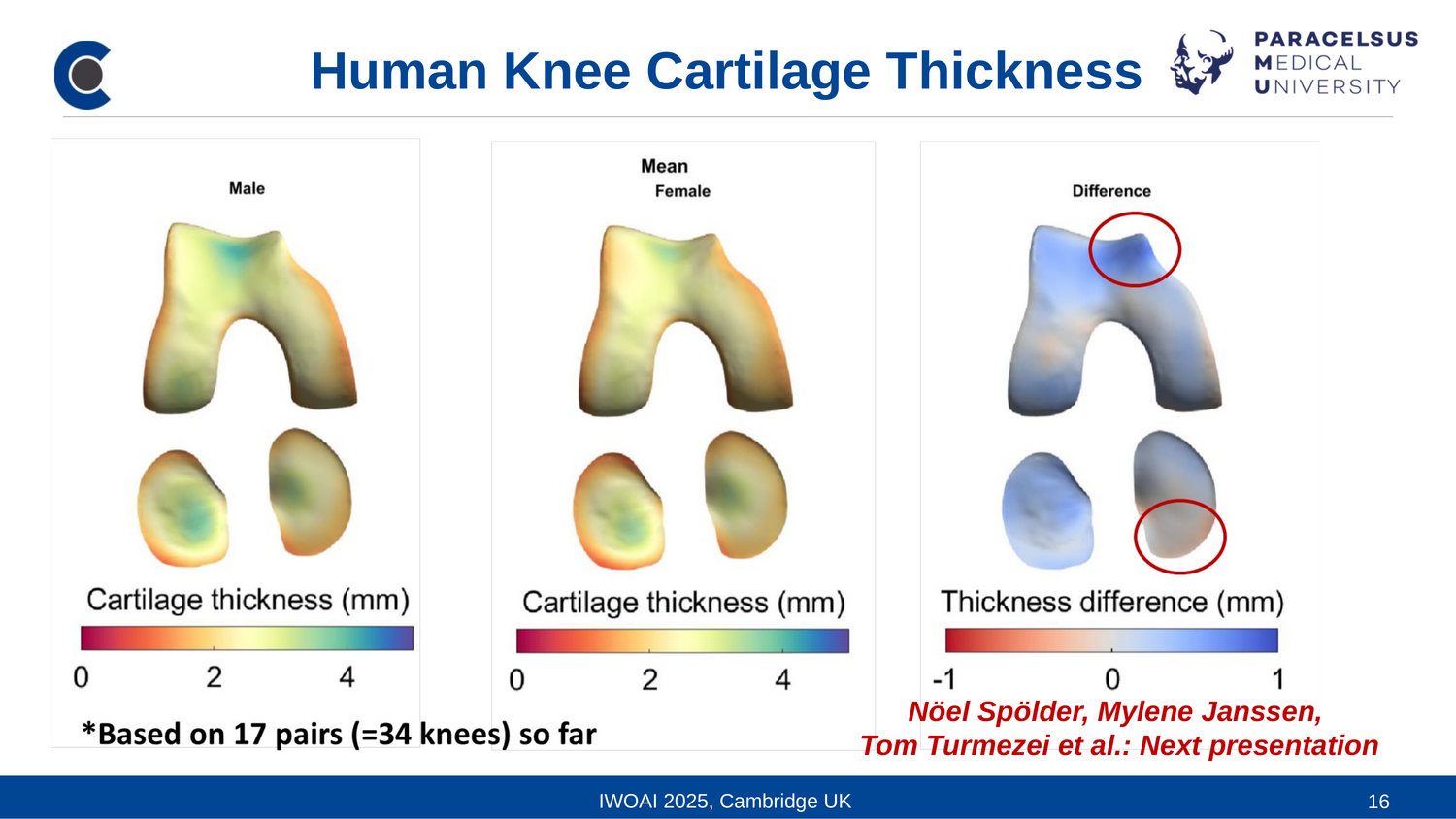 Automated Analysis of Cartilage