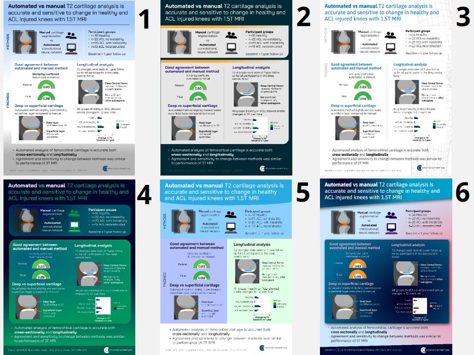 Automated Analysis of Cartilage