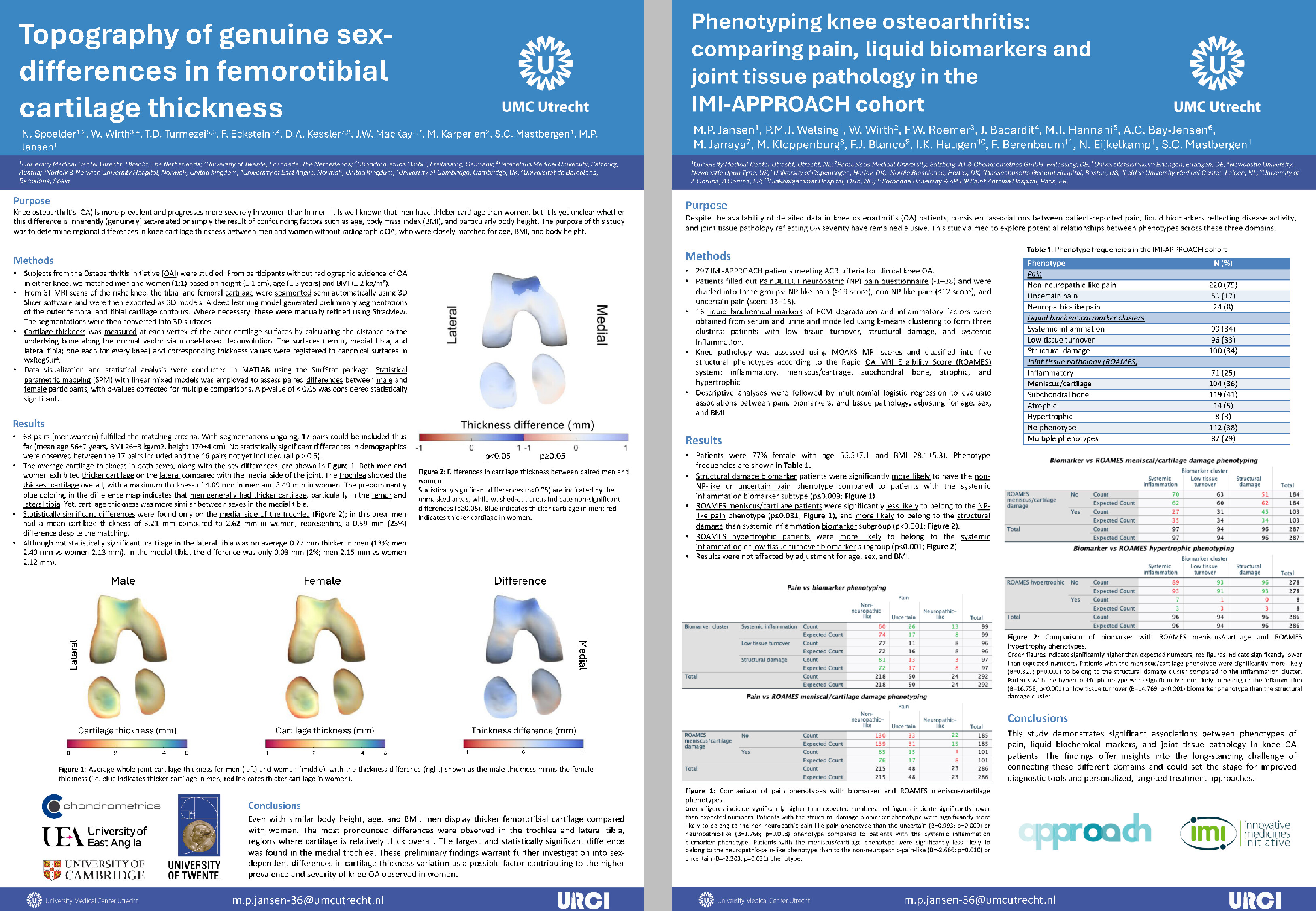 Automated Analysis of Cartilage